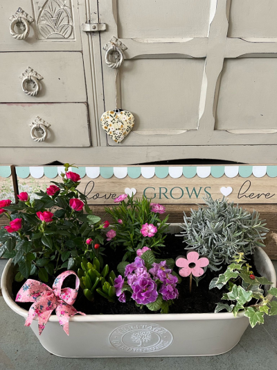 Large country planter - A large country style planter filled with mixed seasonal plants. (please note - plants may vary from this photo)