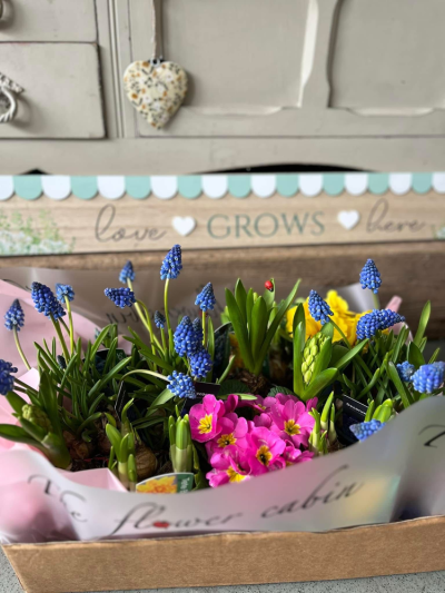Plant pack - Perfect for a garden lover - why not have a selection of plants hand delivered to your special someone for them to plant in their own garden.