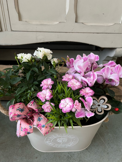 Medium country planter - A medium country style planter filled with mixed seasonal plants. (please note - plants may vary from this photo)