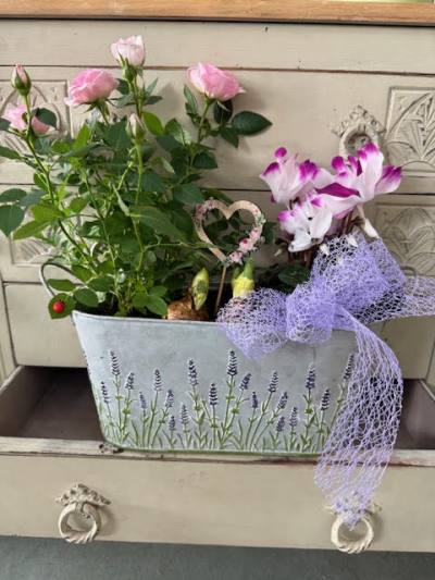 Medium country planter - A medium country style planter filled with mixed seasonal plants. (please note - plants may vary from this photo)