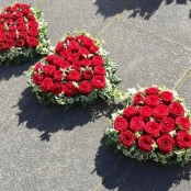 Trio of hearts