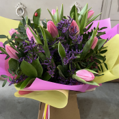 Tulip Aquabox